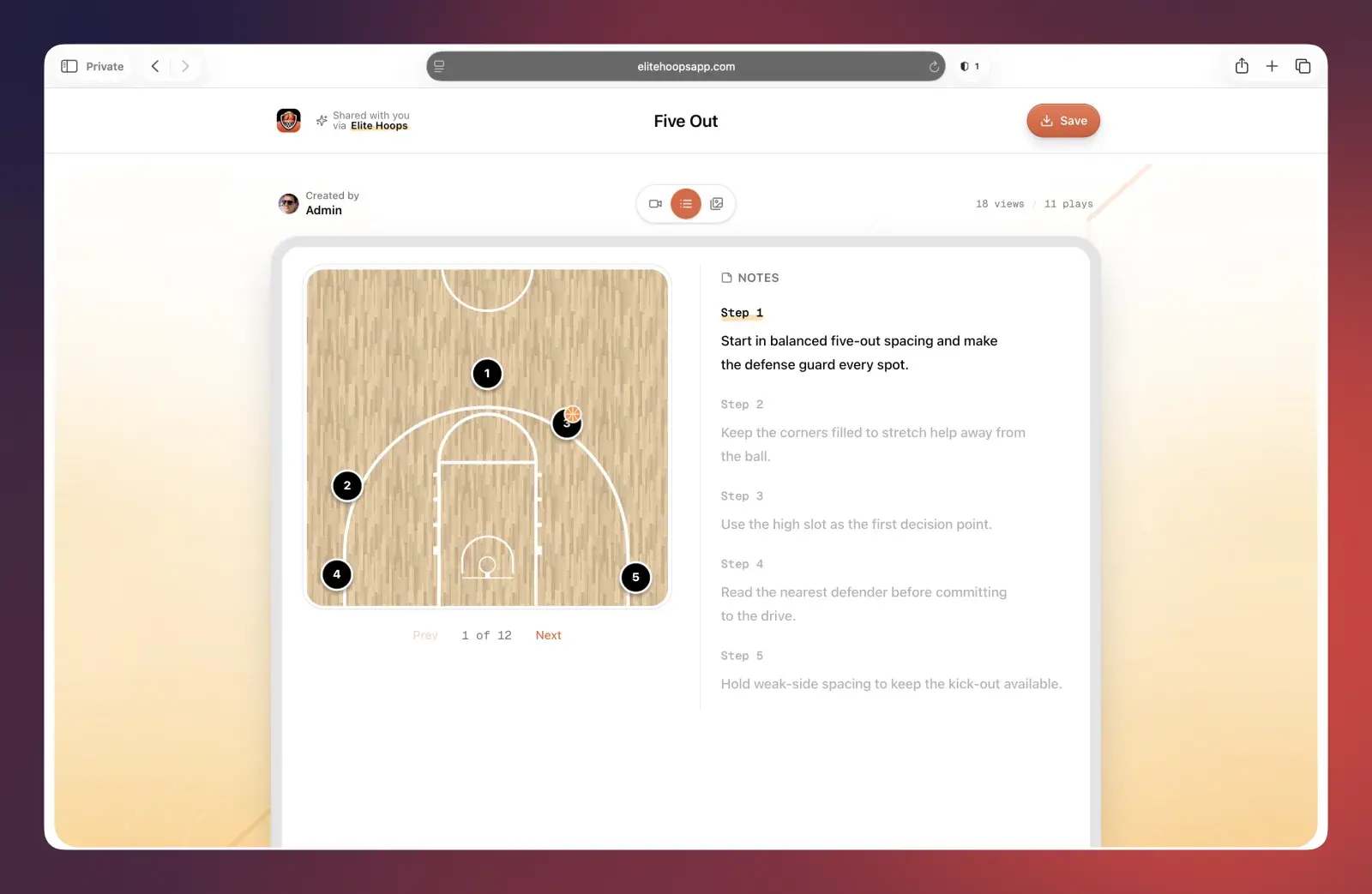 Step-by-step mode: stepping through a play with numbered coaching notes beside the court.